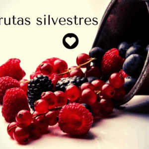infusion sin cafeína bayas silvestres
