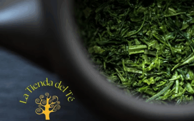 ¿Por qué tu té verde amarga? Guía definitiva para prepararlo perfecto