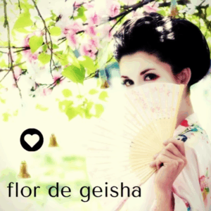 flores con geisha