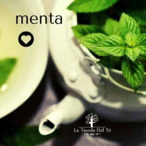 menta