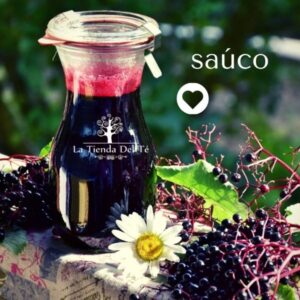 mundocitricos oolong